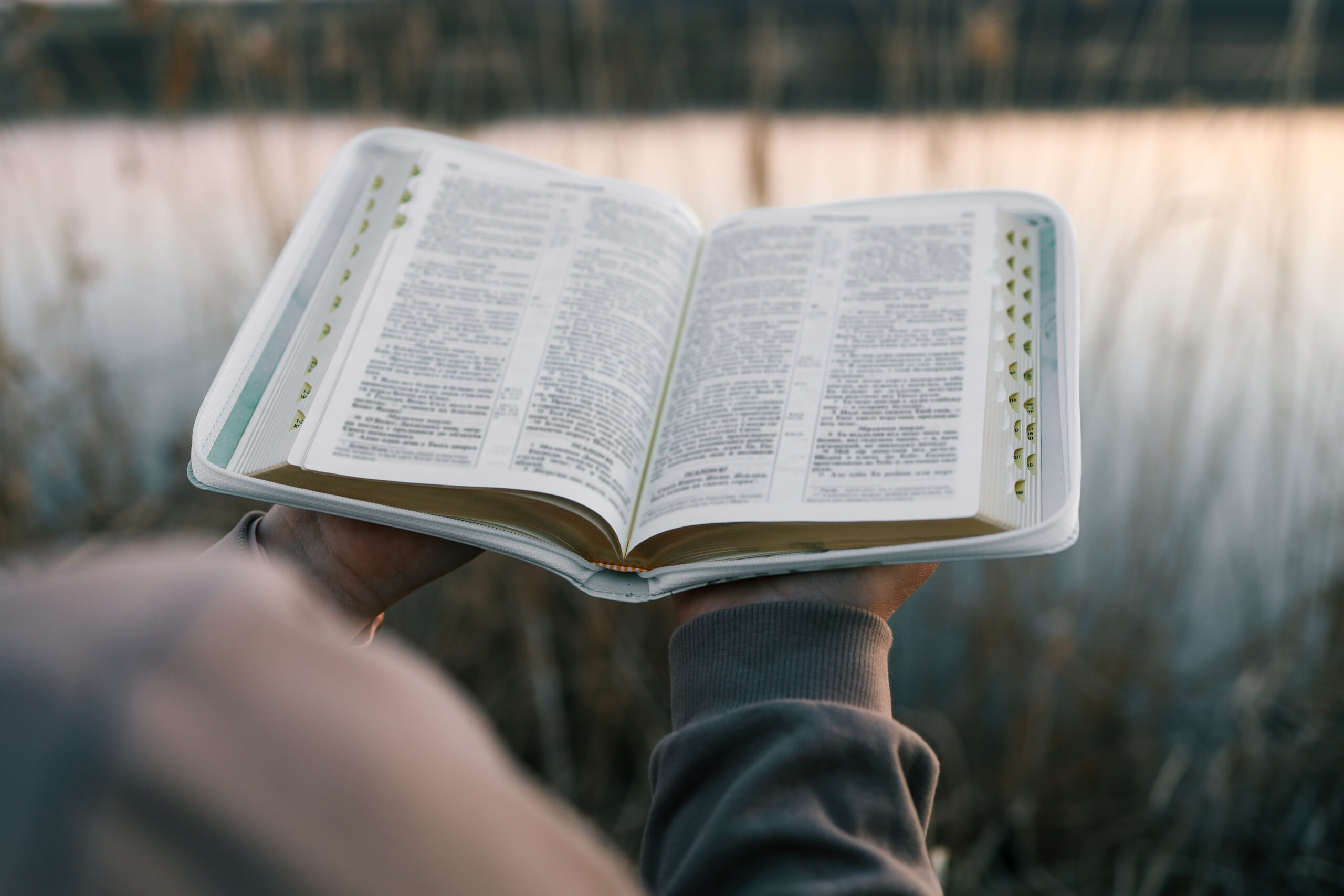 Ryans Creek Baptist Church - Bible in the hands of a girl concept morning prayer in nature