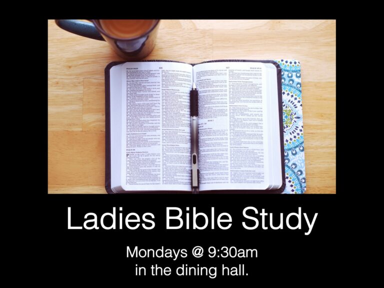 Bible Study